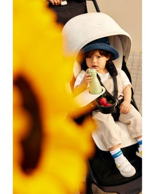 Dragonfly Snack Tray Adapter