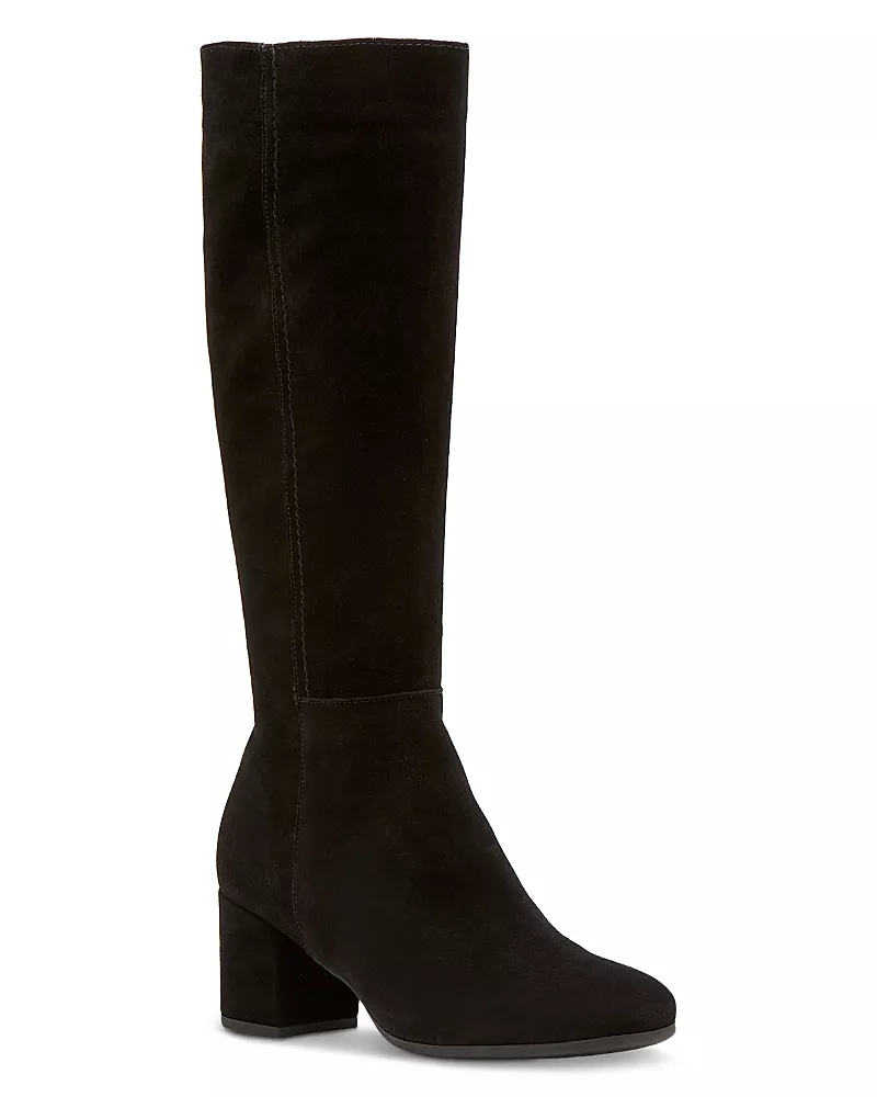 La Canadienne Women's Jaxson City Dry Suede Tall Boots