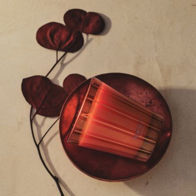 Pumpkin Chai Classic Candle, 8.1 oz. 