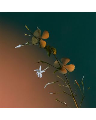 A Kiss of Bliss Eau de Parfum 1.7 oz.