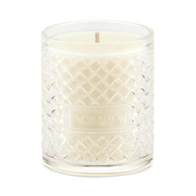 Blue Spruce Holiday Candle 7 oz.