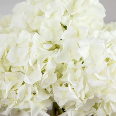 Wedding Collection 14&amp;quot; Artificial Hydrangea Arrangement in Glass Vase