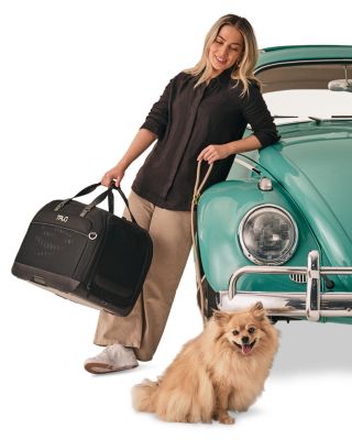 Hendrick Pet Car Seat & Flexible Carrier