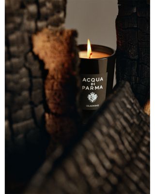 Gelsomino Candle 7 oz.