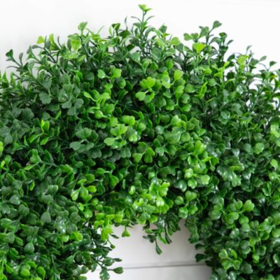 18" Pre-Lit Artificial Boxwood Wreath with 25 Warm White LED Lights