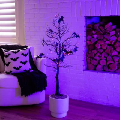 4' Pre-Lit Artificial Halloween Black Spooky Twig Tree with Bats and 120 Orange & Purple LED Lights