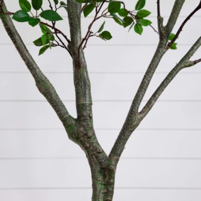 10' Minimalist Artificial Citrus Tree