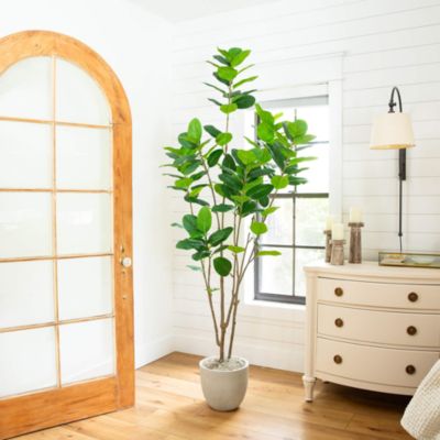 7&#39; Artificial Minimalist Audrey Ficus Tree