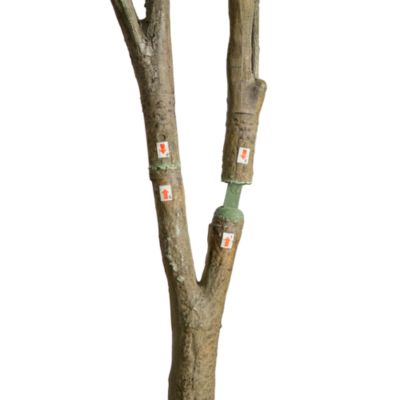 7' Artificial Dogwood Tree