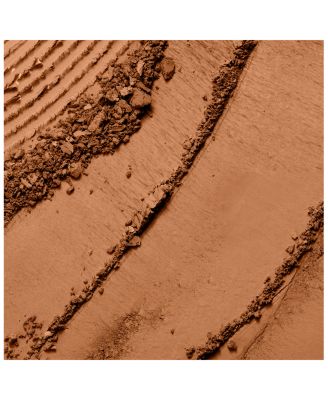 Dual Finish Multitasking Powder Foundation