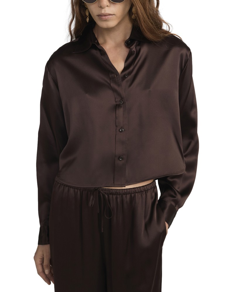Frame The Silk Charles Shirt in Americano