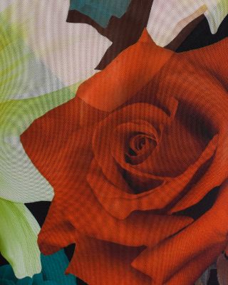 Shailene Floral Midi Dress