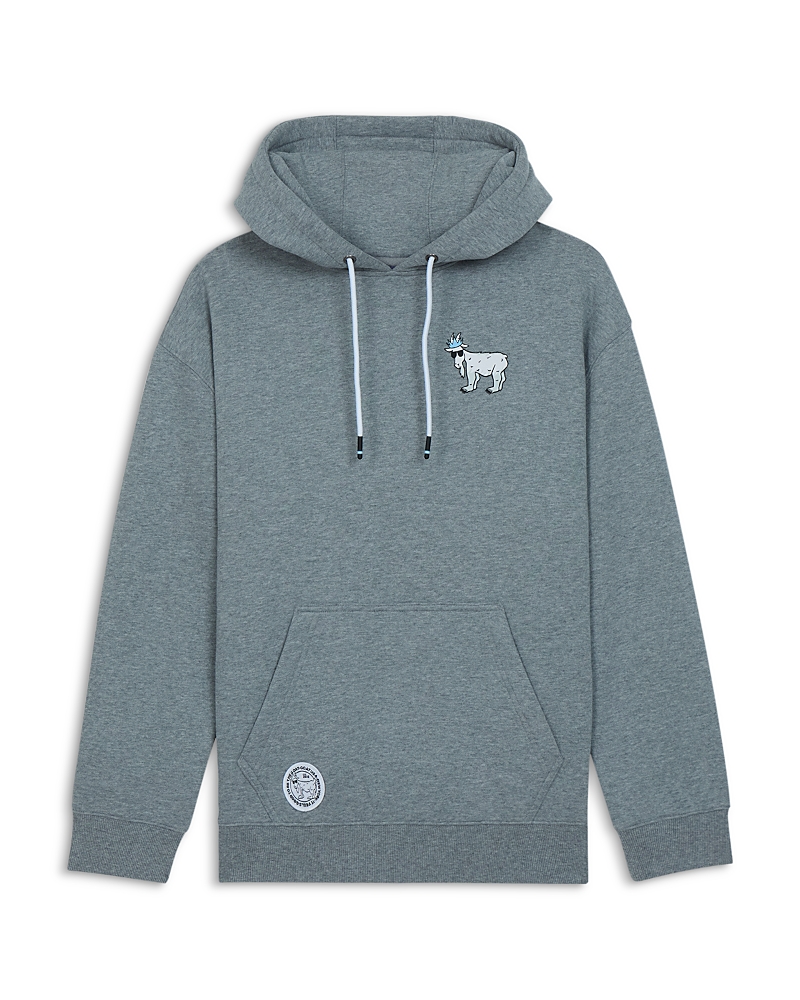 Goat Usa Boys' Polar Plunge Pullover Hoodie - Big Kid In Gray