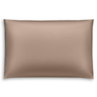 Silk Solid Pillowcase, King