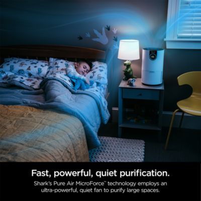 Air Purifier with True HEPA