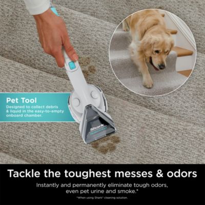 PX201 StainStriker Portable Carpet &amp; Upholstery Cleaner