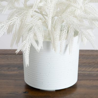 Natural Artificial Real Touch White Norfolk Island Pine 2&#39; Christmas Tree with Natural Look