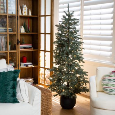 Pre-Lit Artificial Pine 6' Christmas Tree in Round Planter with Warm White LED Lights