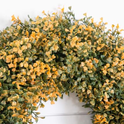 Pre-Lit Autumn Boxwood Artificial Fall 18&#39; Wreath with Warm White LED Lights