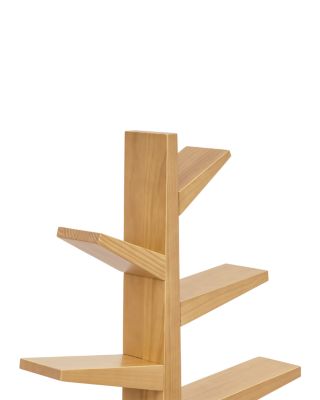 Spruce Tree Bookcase