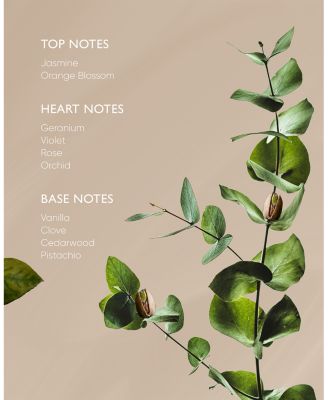 Pistachio Body Oil 3.38 oz.