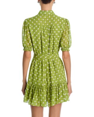 Camille Belted Mini Dress