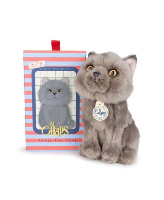 Bt Chaps Freddy The British Shorthair Floppy In Giftbox Plush 5-7 - Ages 5-7