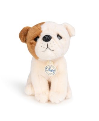  Bt Chaps Bertha The American Bulldog Floppy In Giftbox Plush 5-7 - Ages 5-7