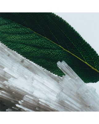 Wood Sage & Sea Salt Cologne & Hand Cream Duo Gift Set ($65 value)