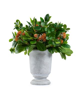  Berries with Leaves in Stone Pot Arrangement