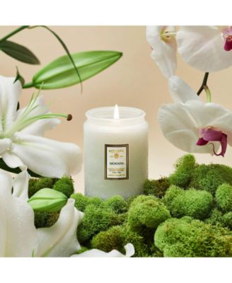 Mokara Orchid Candle 5.5 oz.