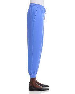 Cozy Brushed Terry Hug Jogger Pants