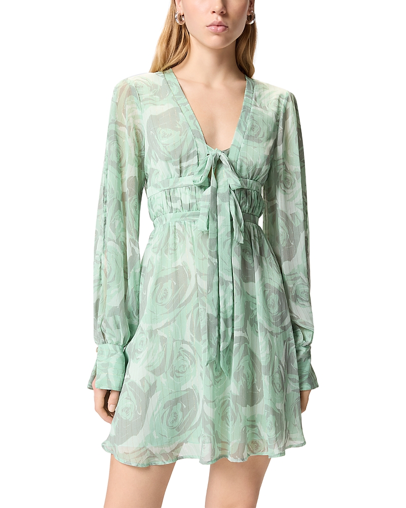Pinko Barbadine Dress