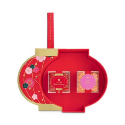 Lucky Lantern 2 Piece Bento Box Duo