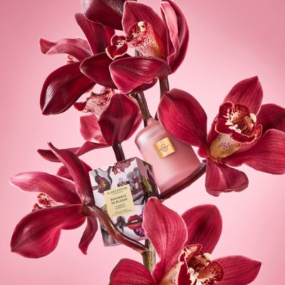 Radiance in Bloom Home Fragrance Collection