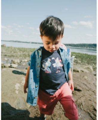 Boys' Organic Cotton Seagull Graphic Short Sleeve T-Shirt - Little Kid, Big Kid