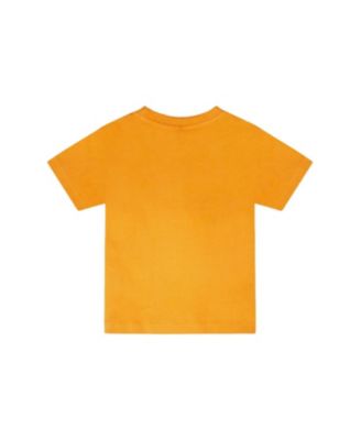 Boys' Organic Cotton Zebra Short Sleeve T-Shirt - Little Kid