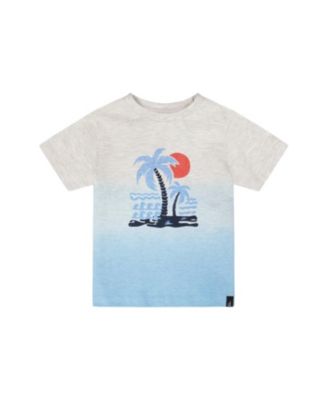 Boys' Organic Cotton Short Sleeve Beach Graphic Gradient T-Shirt - Baby