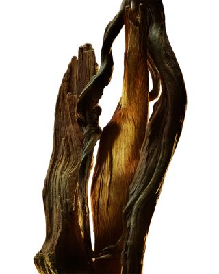 Man Wood Essence Parfum 3.4 oz.