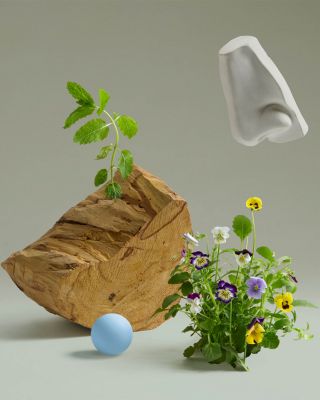 Bold Blend Eau de Parfum 3.4 oz.