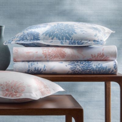 Chrysanthemum Bedding Collection