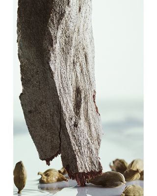 Pour Homme Eau de Parfum 3.4 oz.