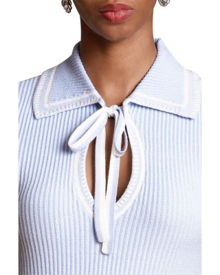 Tie Neck Fitted Mini Dress