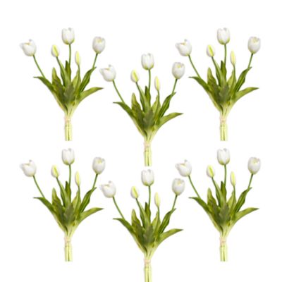 Blooming Tulip Bunch, Set of 6