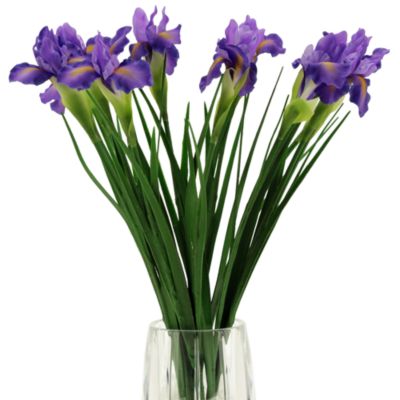 Iris Stem, Set of 12