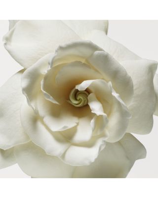 Cashmere Mist Eau de Parfum Luxury Duo Gift Set