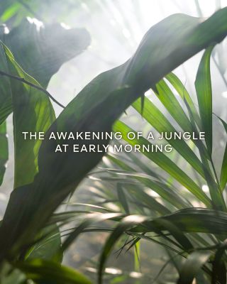 L'Art & La Mati&egrave;re V&eacute;tiver Fauve Eau de Parfum 3.4 oz.