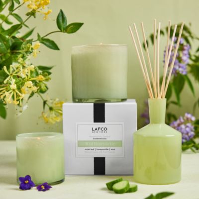 Wild Honeysuckle Signature Candle, 15.5 oz.
