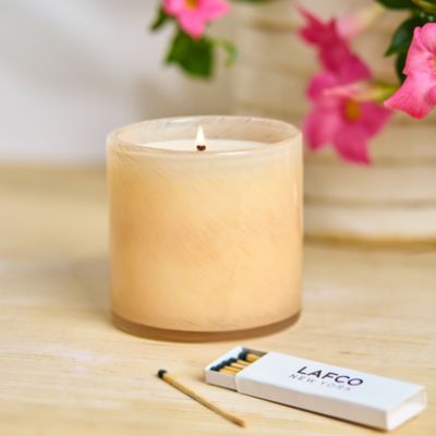 Paloma Melon Classic Candle, 6.5 oz.