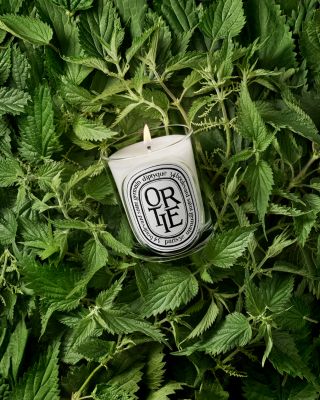 Ortie (Nettle) Classic Candle 6.7 oz.